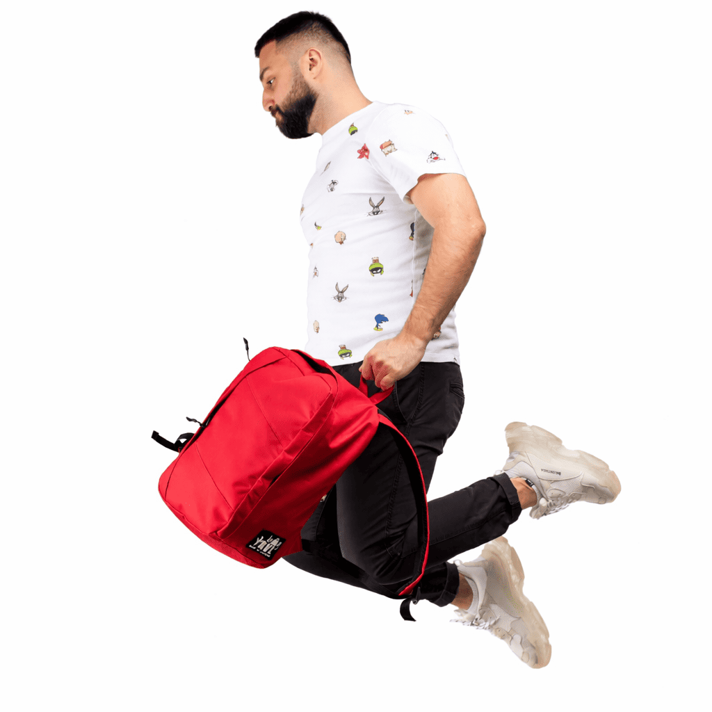 EasyJet Handgepäck [45x36x20]